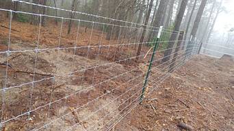 FM0   FC111010111:zzzzzz0 8100 007804386a43724d43421220 a32 fb1cc 44 4e33622430f  0  0  0  0 0 0 0 030f8177817e7d04f 1306817e81887d04f 12fd816981767d04f 1307813781407d04f 130b8160816b7d04f 130f816081697d04f 1313815b815e7d04f 130b815981617d04f 1 32f1133 330 f2a 036 036 027 0272c34292d332c2a27272822263a39353c231f2024393e322e292e2d362724283b352e322a2424292c302f32362e3837303134393d3437373613881571138315b713881571138315b713881571138315b713881571138315b713881571138315b713881571138315b713881571138315b713881571138315b713881571138315b713881571138315b713881571138315b713881571138315b713881571138315b713881571138315b713881571138315b713881571138315b713881571138315b713881571138315b713881571138315b713881571138315b713881571138315b713881571138315b713881571138315b713881571138315b713881571138315b713881571138315b713881571138315b713881571138315b713881571138315b713881571138315b713881571138315b713881571138315b713881571138315b713881571138315b713881571138315b713881571138315b7